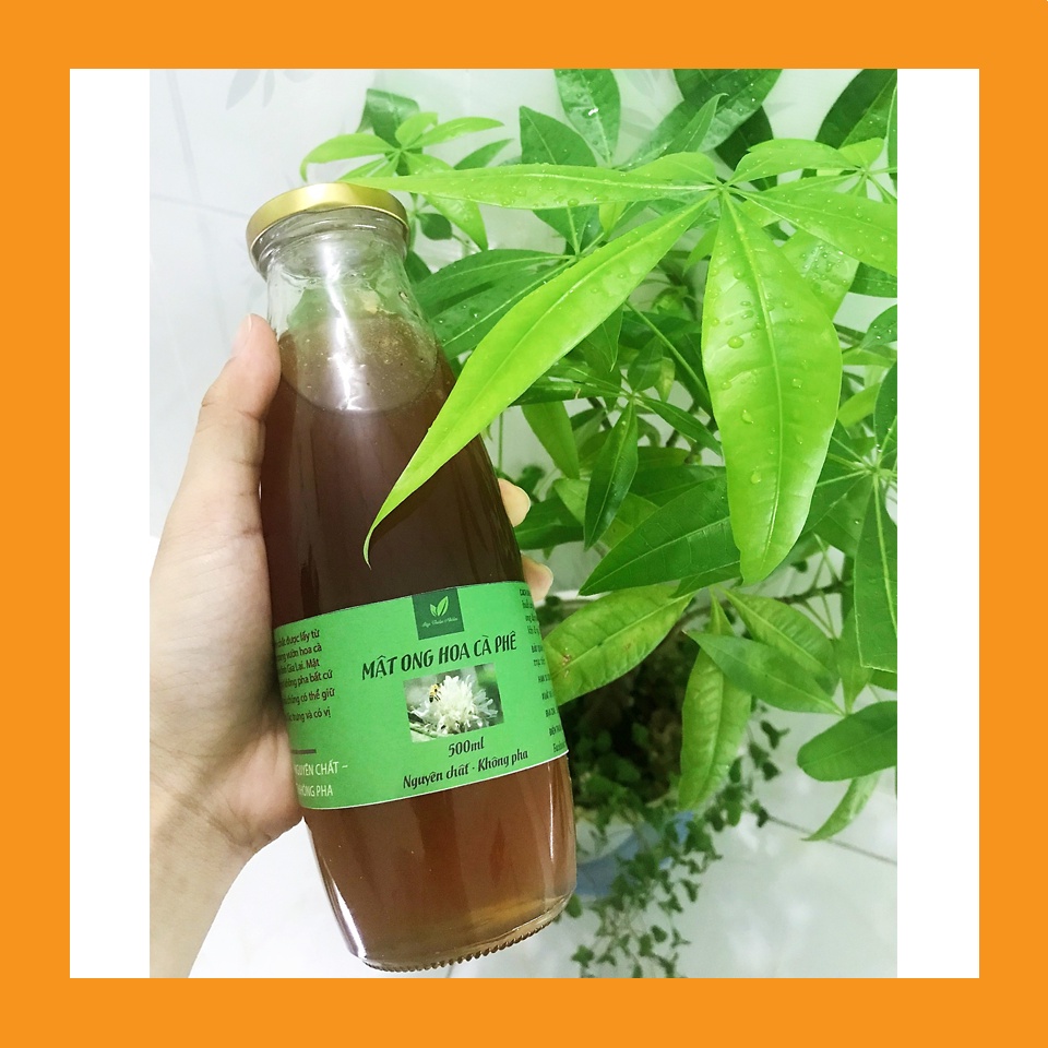 Mật ong nguyên chất hoa cà phê chai 500ml