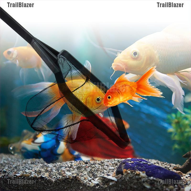 Vợt Lưới Vuông Làm Sạch Bể Cá