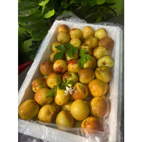 HỒNG TÁO - SIÊU GIÒN NGỌT
