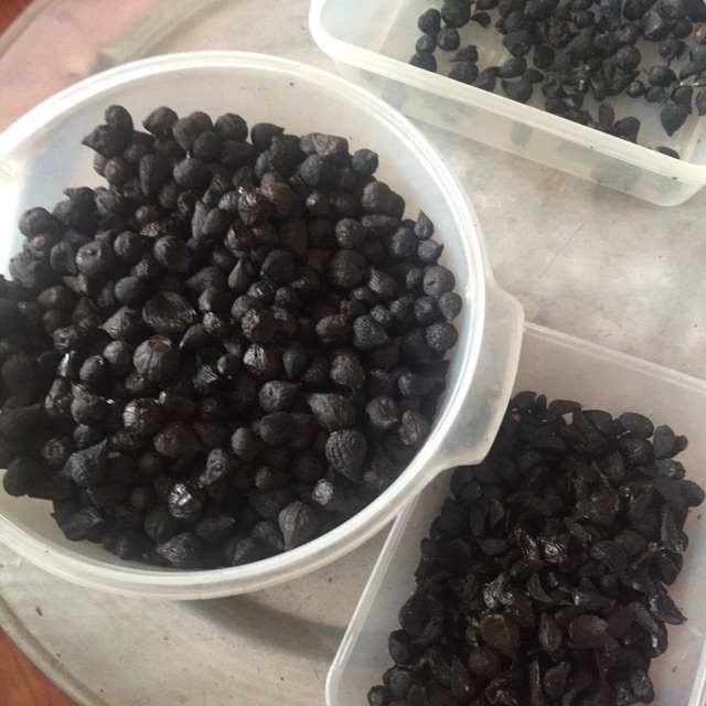 Tỏi đen cô đơn nhà làm