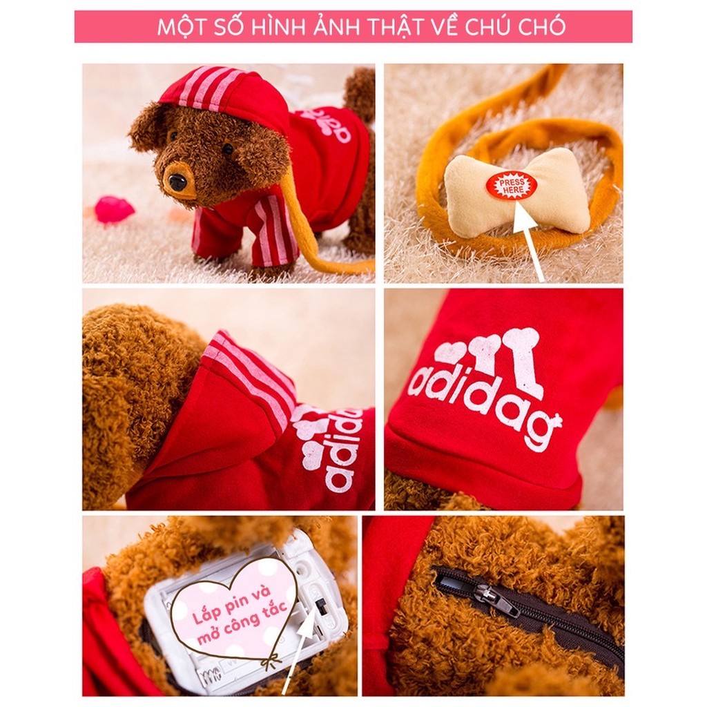 Chó bông biết đi ,biết hát tiếng việt .Kaori86