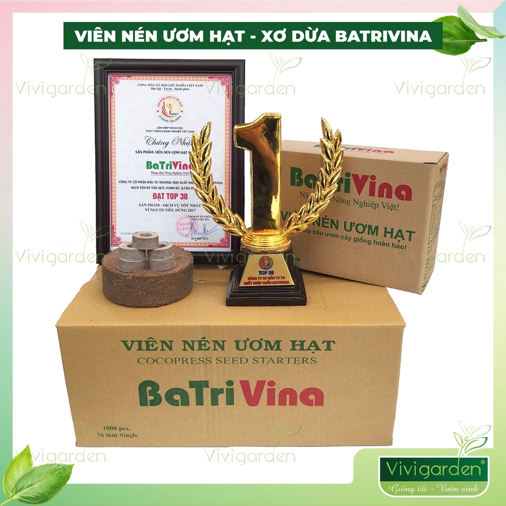 Hộp 16 viên nén ươm hạt, viên nén xơ dừa kích hạt nảy mầm