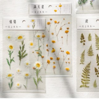 Sticker trong suốt hình hoa Lavender Cúc Daisy dán trang trí planner sổ tay phong cách vintage