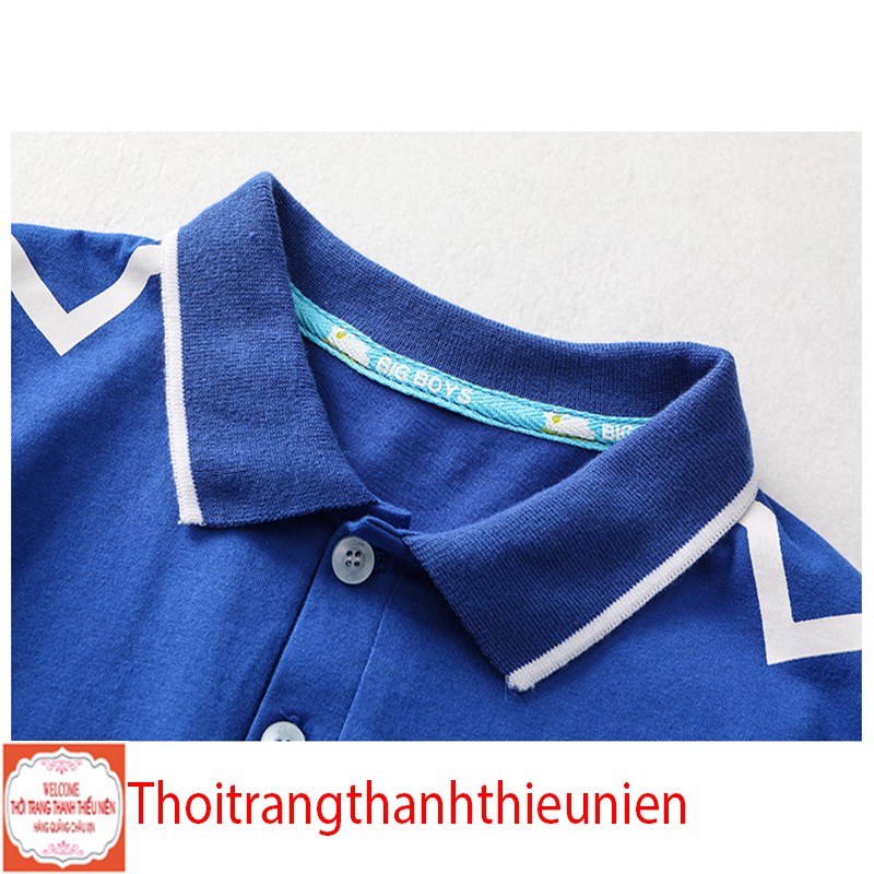 [35Kg - 75Kg] Áo Polo Nam Cotton Xanh Đỏ Hàng Quảng Châu Cao Cấp. | BigBuy360 - bigbuy360.vn