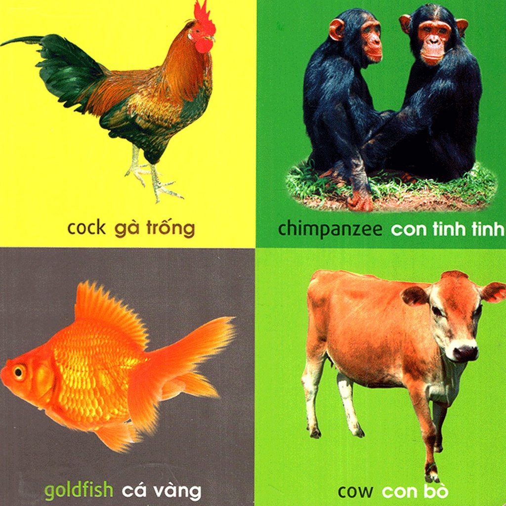 Sách - 101 First Words – Animals (101 Từ Đầu Tiên – Động Vật)