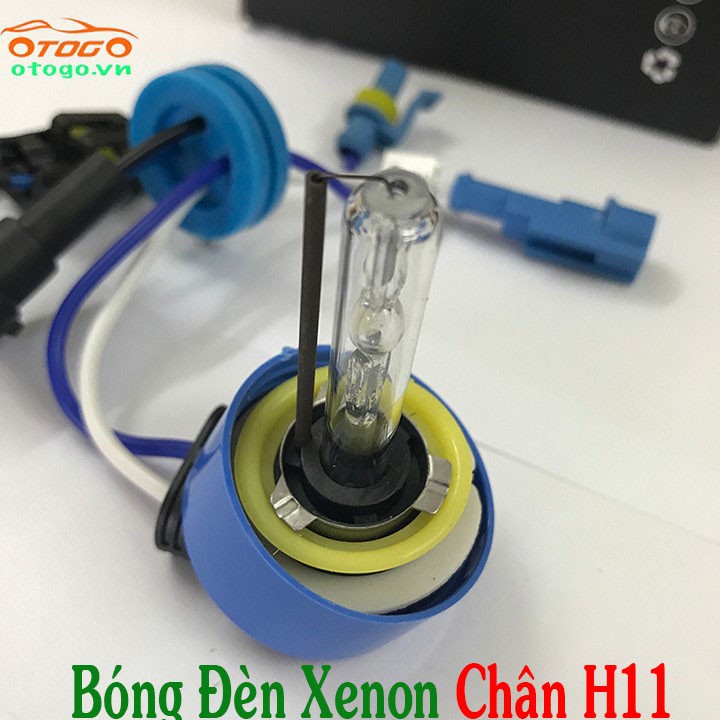 Đèn Xenon Ô Tô Chân H11 Siêu Sáng , Đèn Gầm H11