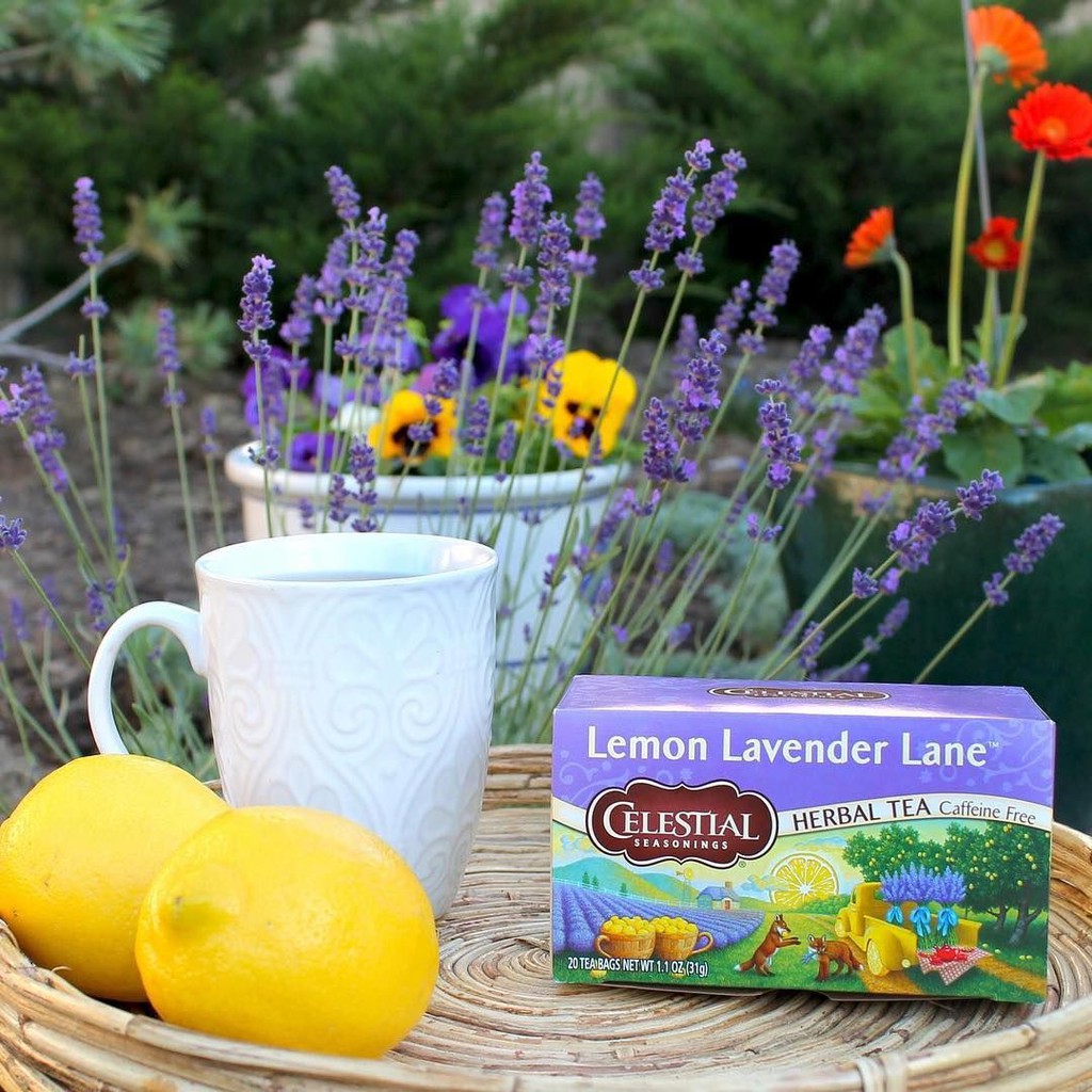 Trà hoa lavender ngủ ngon Celestial Seasonings date 2022 (hàng Mỹ chính hãng)