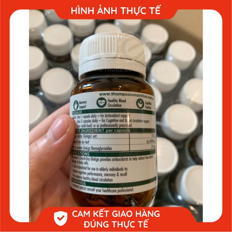 Bổ não tăng cường trí nhớ [Úc] Ginkgo Biloba 6000mg Thompson's [Chính hãng]