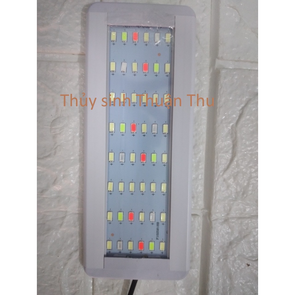 Đèn led WRGB 6 hàng siêu sáng thế hệ mới - đèn led thuỷ sinh các size