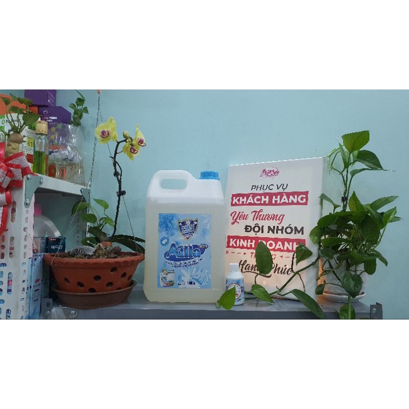 Mua Nước giặt AILLA loại 10kg