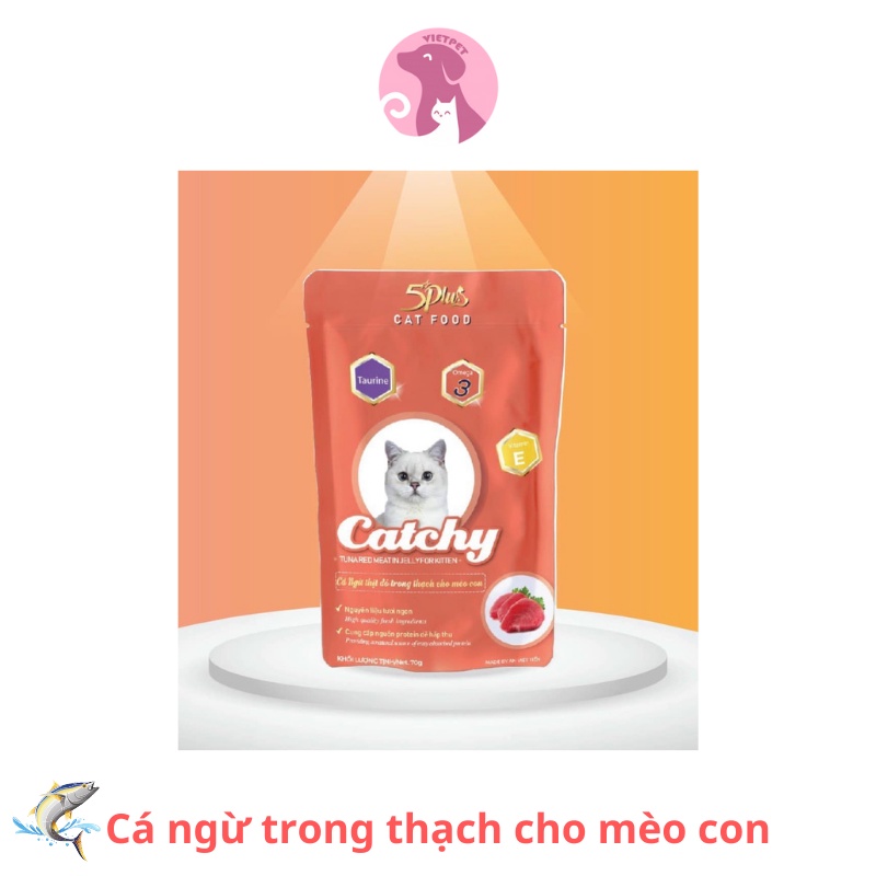 _pate cho mèo Catchy 70gr