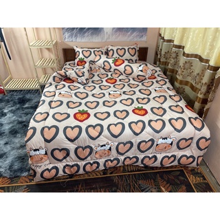 chăn phao cotton poly set 5 món