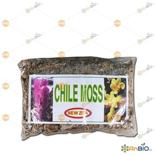 Dớn chile moss newzita gói 100g giá thể trồng lan - a6.1012