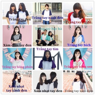 Áo raglan cộc tay (12 màu)