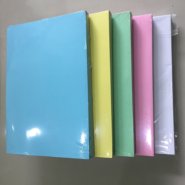 Set 20 tờ Bìa màu thái A4 dày ĐL 180gsm