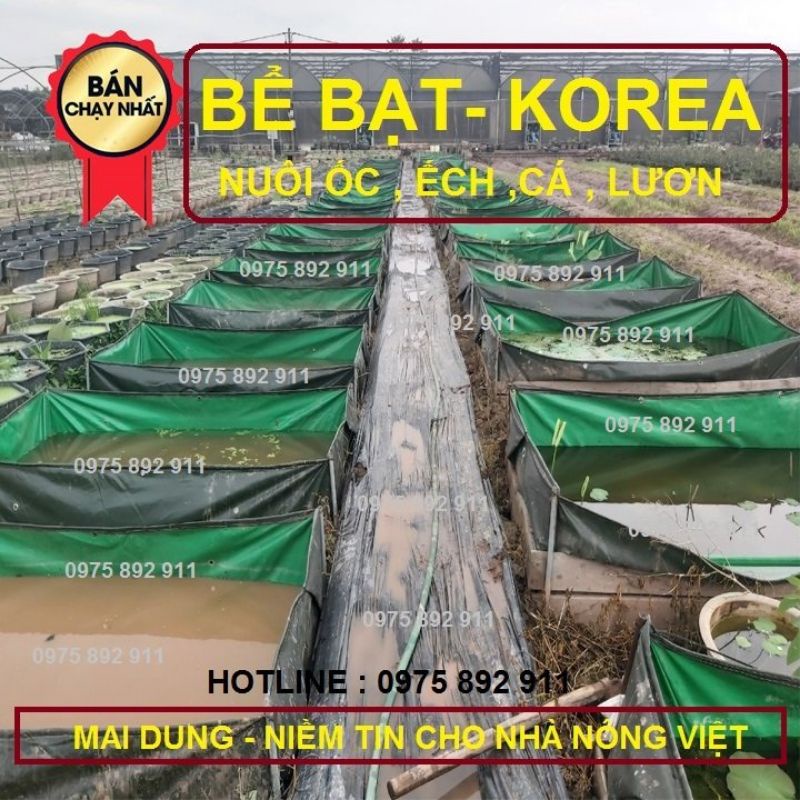 Bể bạt ươm ốc ếch cá lươn 1,5x1x05 - loại korea