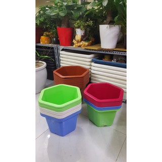 Bộ 10 chậu lục giác 31 x 20 cm