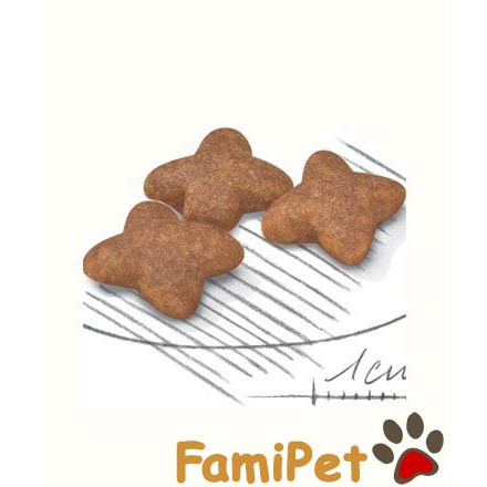 [Mã 159FMCGSALE giảm 8% đơn 500K] Thức Ăn Khô Cho Chó Con Giống Nhỏ Túi 2kg - Royal Canin Mini Puppy