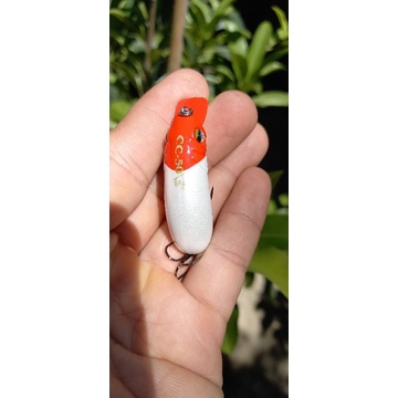 CC50 mồi câu cá lóc sộp nheo chim rất hiệu quả