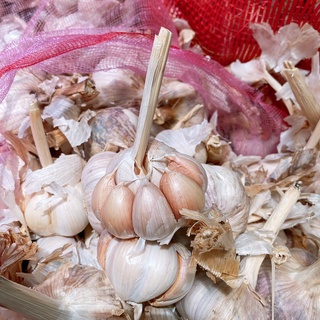 Tỏi củ TO hàng loại 1 bao chất lượng từng tép 1kg