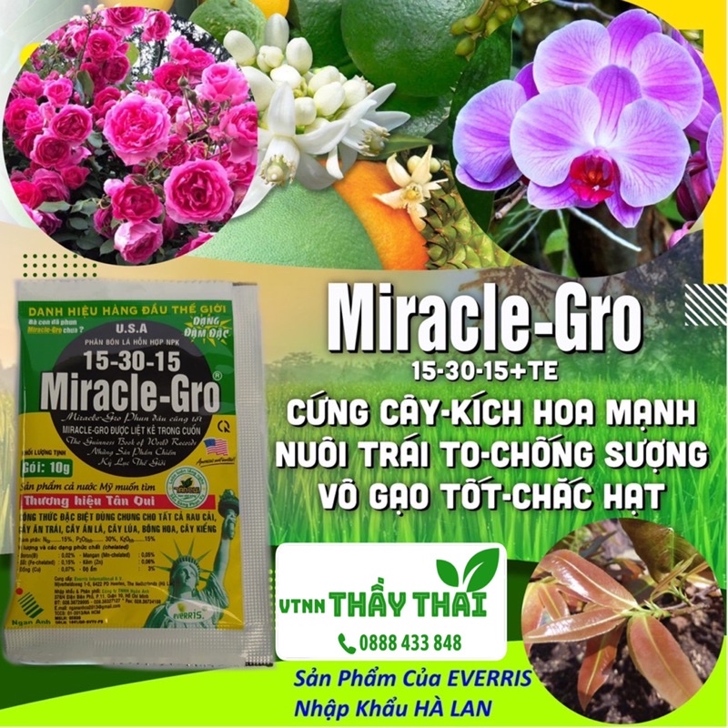 Miracle Gro 15-30-15+TE, 500g, Phân bón lá kích ra hoa lan, hoa hồng, đậu trái cao