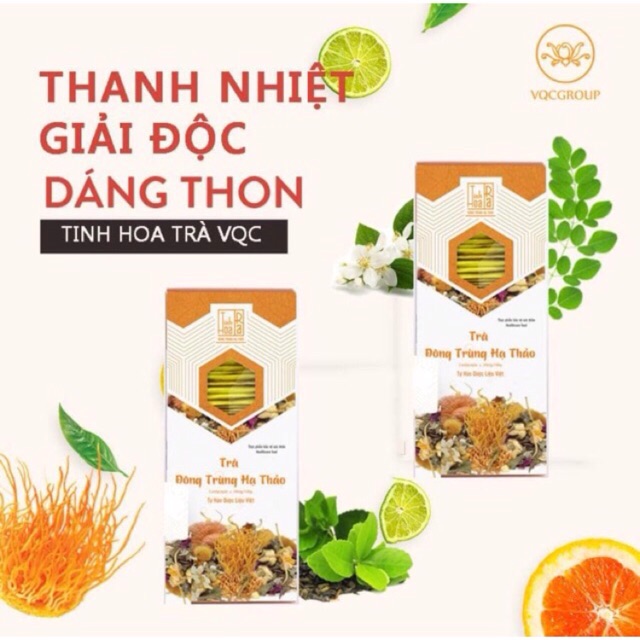 TRÀ ĐÔNG TRÙNG HẠ THẢO 1 gói túi lọc