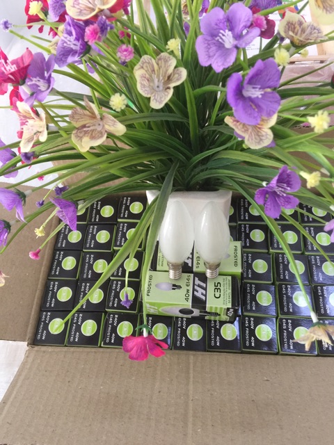 Bộ 2 bóng đèn sử dụng cho hộp đá muối | BigBuy360 - bigbuy360.vn