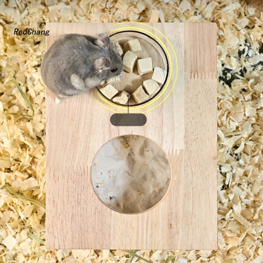 Hộp Cát Bằng Acrylic Thân Thiện Với Môi Trường Cho Chuột Hamster