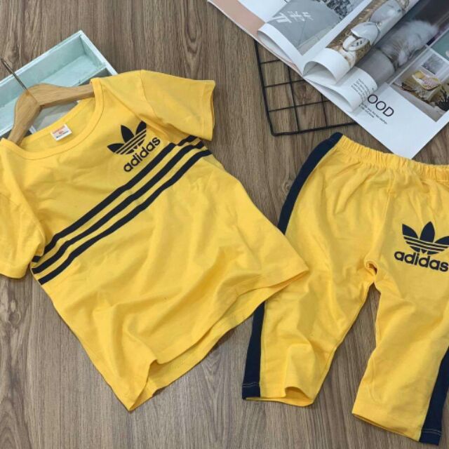 Combo 6 bộ cotton dành cho bé gái