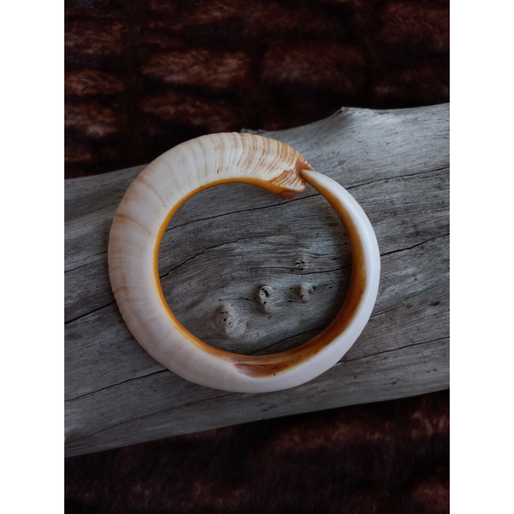 Vòng đeo tay nanh mỹ nghệ