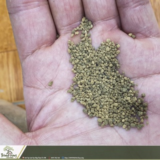 Đất nung Akadama size ss (500G)