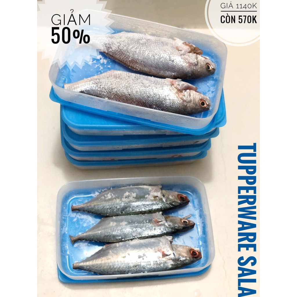 Bộ hộp trữ đông Freezermate 650ml low