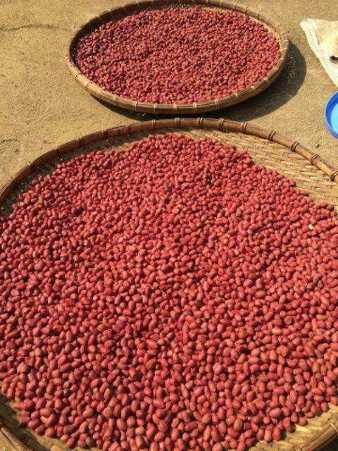 1kg óc chó (tặng 200g lạc đỏ)