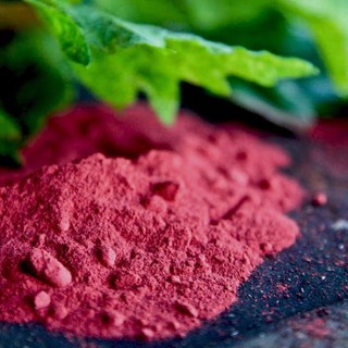 Bột Củ Dền Nguyên Chất 100g ( Ăn Uống Tạo Màu Thực Phẩm )