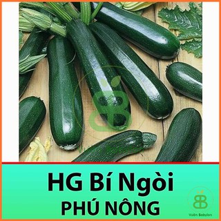 Hạt Giống Bí Ngòi Xanh 2Gr - Hạt Giống Bí Ngồi Dễ Trồng, Năng Suất Cao