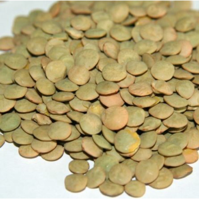 Đậu lăng xanh hữu cơ không biến đổi gen 500g