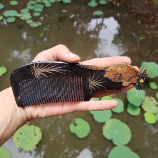 Lược sừng đẹp
