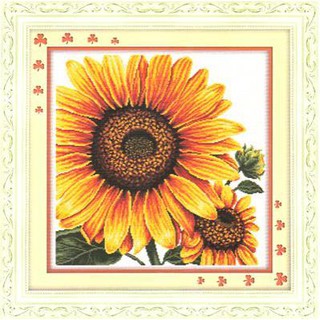 Tranh thêu chữ thập Hoa Hướng Dương RY1629 (KHÁCH TỰ THÊU) KT:64X64CM
