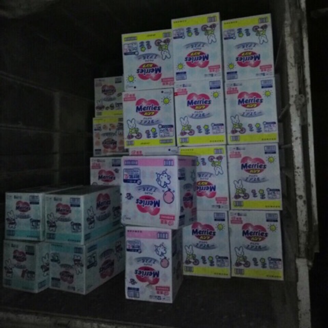 Tả dán Merries L54