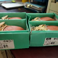 Combo giày trả khách