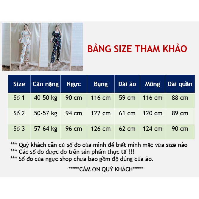 Đồ bộ lanh (tole) mặc nhà nữ SHOP5SAO quần dài tay ngắn cổ vuông (40-64kg)