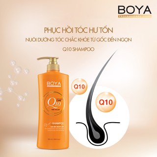 Dầu gội Q10 Boya Shampoo 500ml