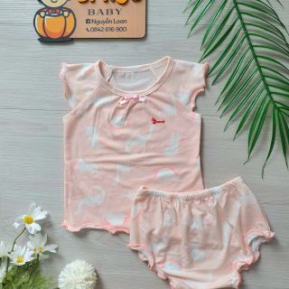 Combo 4 bộ cánh tiên màu ngẫu nhiên