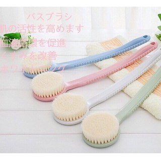 GẬY CỌ VÀ GÃI NGỨA LƯNG NHẬT