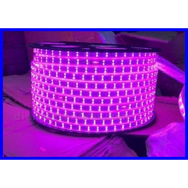 Đèn led dây 2835 2 hàng bóng Màu Hồng loại tốt (không kèm nguồn) - Điện Việt