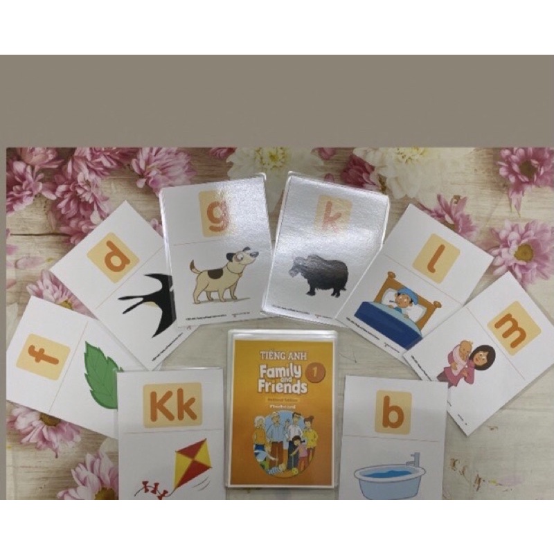 Flashcard - bộ tranh family national 2 a5 ép plastic siêu rẻ