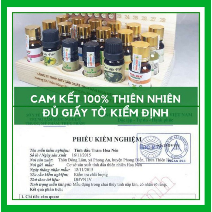 Tinh dầu tràm Huế Hoa Nén nguyên chất 100ml. Giữ ấm và xong phòng hiệu quả [ Có kiểm định]. - LAVIKA Organic