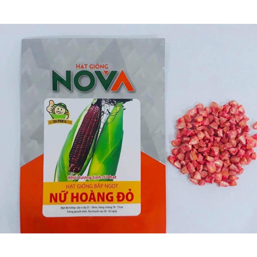 Gói 50 hạt giống bắp NỮ HOÀNG ĐỎ Nova  Thái Lan chĩnh hãng Novaseed giàu dinh dưỡng, chịu nhiệt tốt và cực dễ trồng