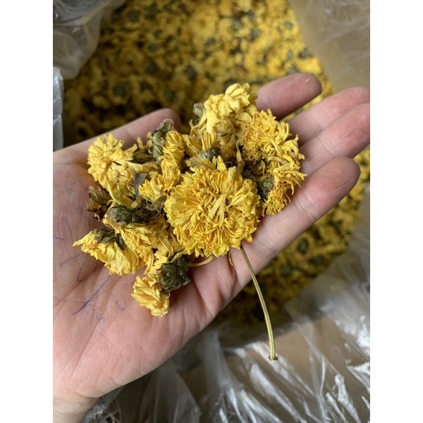 100gr Cúc vàng sấy khô nguyên bông hàng đẹp