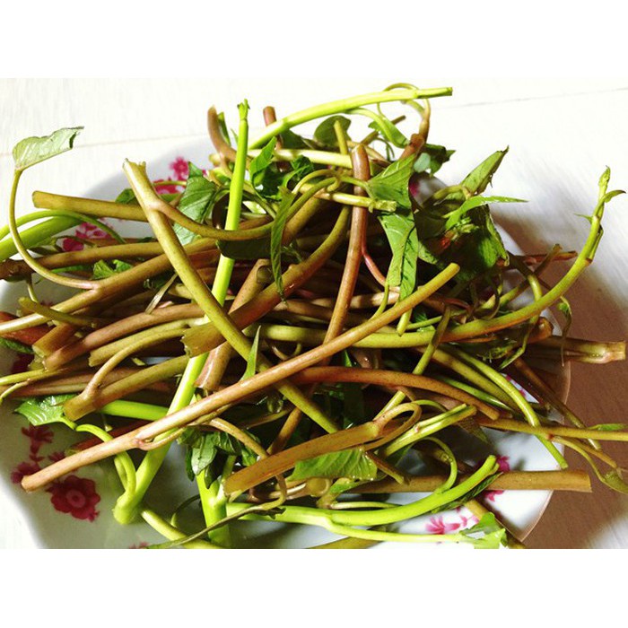 Hạt giống rau muống ngọn tím thái lan siêu ngọn, giòn, ngọt 10gr nhập nguyên gói (Red Kang Kong)